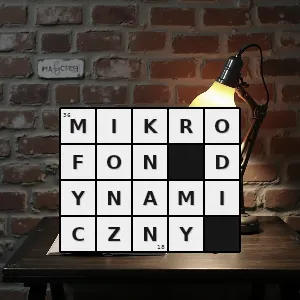 Hasło krzyżówkowe magnes stały - mikrofon dynamiczny – rozwiązanie, synonimy, podpowiedzi i definicje krzyżówkowe